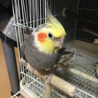 たくさんのご応募ありがとうございました。