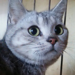 キレイな男の子です(^ ^)