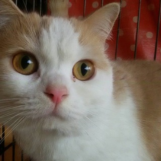 キレイな男の子です(^ ^)