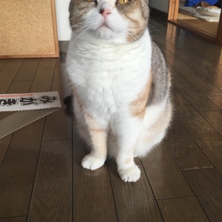 連絡をいただいた方ありがとうございました。