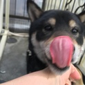 トライアル期間中です