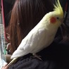 の写真