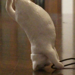 「思った以上に可愛い☆」サムネイル1