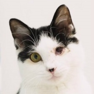 片目のやんちゃボーイ★