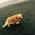 沢山の応募ありがとうございました。