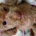 とにかく甘えん坊です！