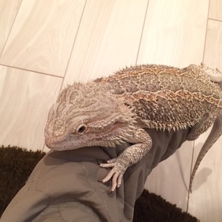 沢山のご応募ありがとうございました