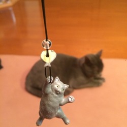 太猫 〜母がはまりました！〜