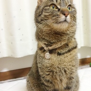 抱っこ娘のマナちゃんです♪