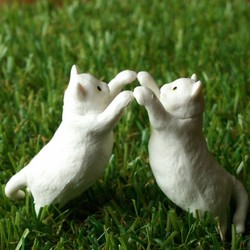 「久々にオモチャを持ってきた たぬ君」サムネイル3