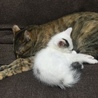 の写真