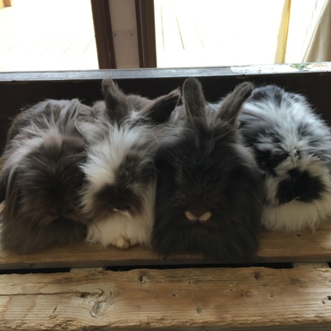 ぱるなのカバー写真