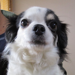 避妊済みの女の子