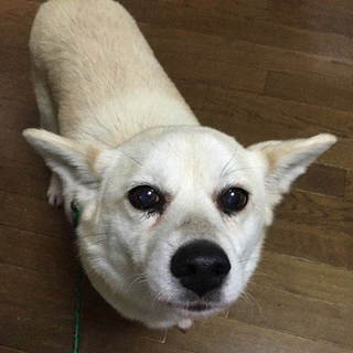 まんまるおめめがキュートなマリンちゃん♪