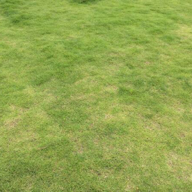 kaneco_kakoのカバー写真