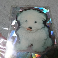 俊　“しゅん“