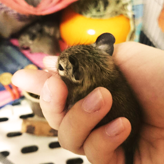 ご応募ありがとうございました