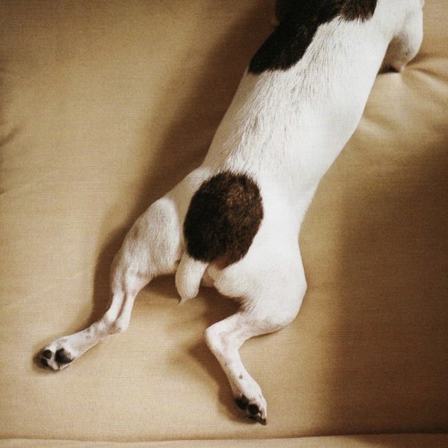 hitomii1228のカバー写真