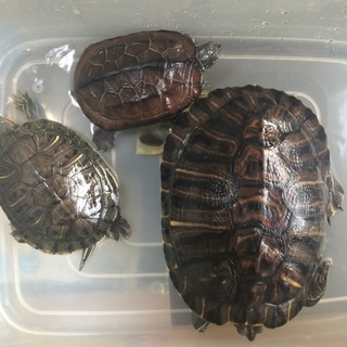 たくさんのご応募ありがとうございました(^^)