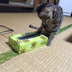 最近のお気に入り♪