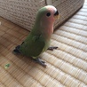 の写真