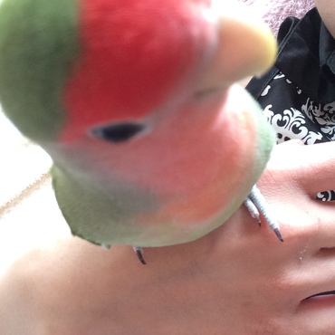 ピーちゃんの写真