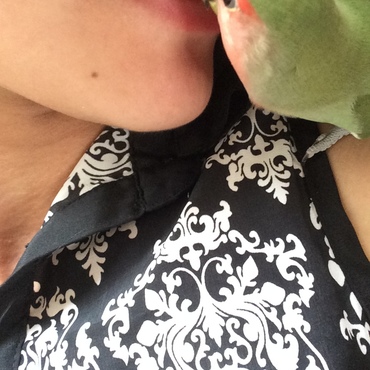 ピーちゃんの写真