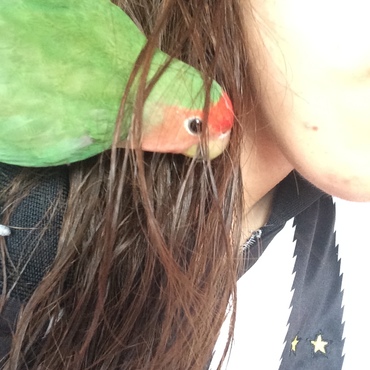 ピーちゃんの写真