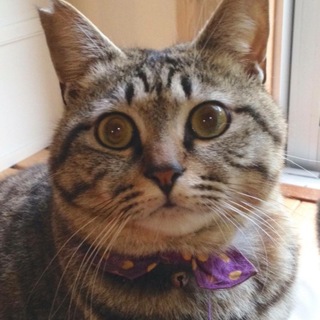 ありがとうございました