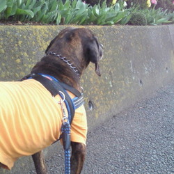 いつものコースなんだけどネ(^_-)-☆