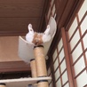 の写真