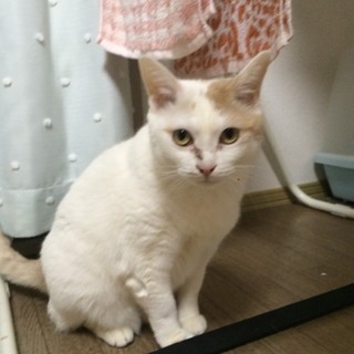 ありがとうございました❗