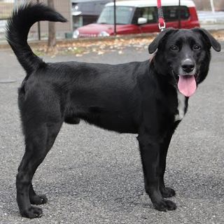 やんちゃでパワフルなアポロくん♪