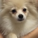 優しくて癒されます(*˘︶˘*).｡.:*♡