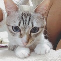 2歳程