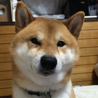 健太