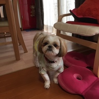 ララ