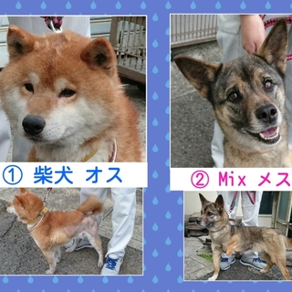 来週(金)処分(*T^T)→助かりました☆