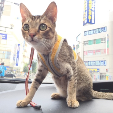 タラちゃんの写真