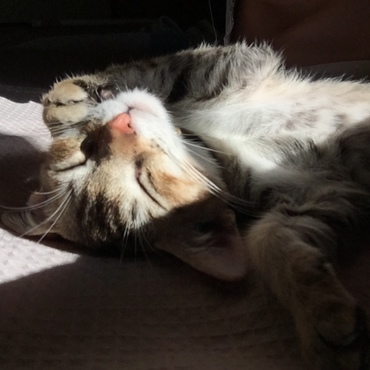 タラちゃんの写真