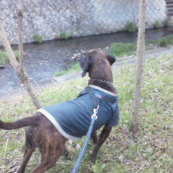 残念な男とニオイの正体