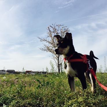 大きな公園へ。帰ったらバタンキューでした(^ ^)