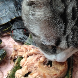 ちょっとちょうだい！