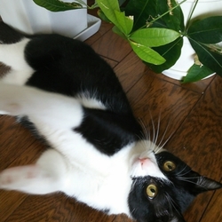 「ずり落ちたー。」サムネイル1