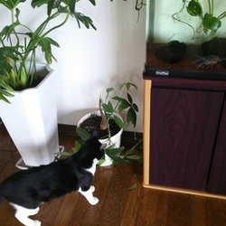 「ずり落ちたー。」サムネイル2