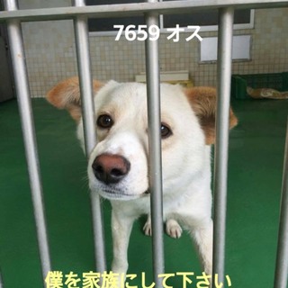 里親様が決まりました　ありがとうございました