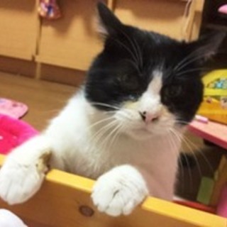 タニーくん　とても人懐こい男の子です