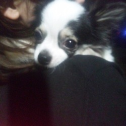 収容期間4/7までと投稿された方へ！