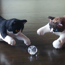 「世界に一つだけの 太猫☆」サムネイル1