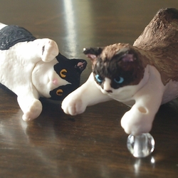 「世界に一つだけの 太猫☆」サムネイル2